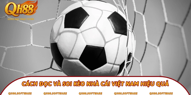 Cách đọc và soi kèo nhà cái Việt Nam hiệu quả