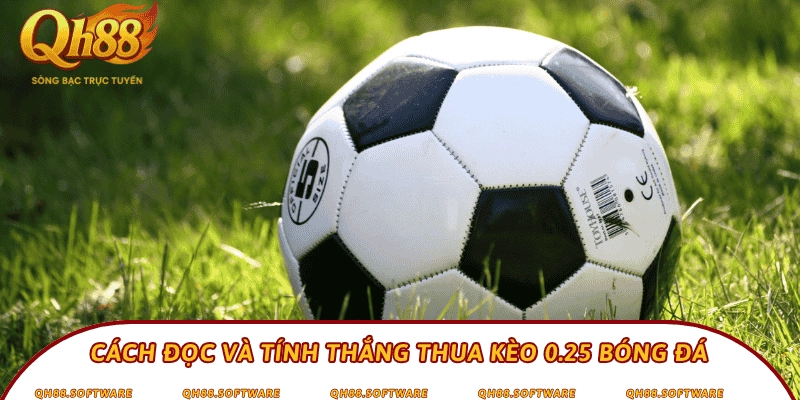 Cách đọc và tính thắng thua kèo 0.25 bóng đá