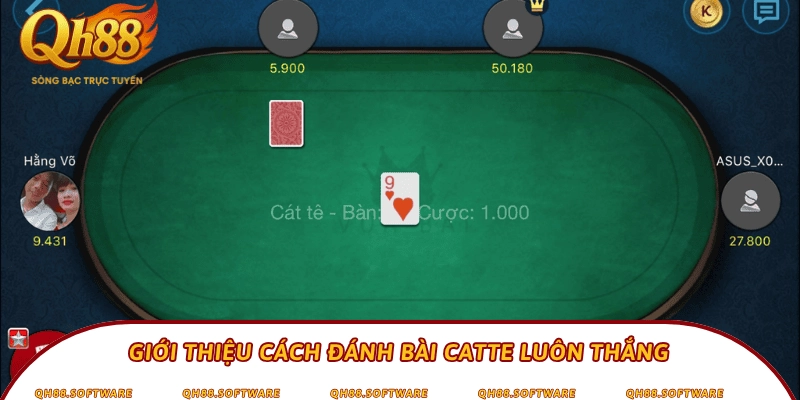 Giới thiệu cách đánh bài Catte luôn thắng