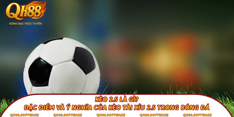 Kèo 2.5 là gì? Đặc điểm và ý nghĩa của kèo tài xỉu 2.5 trong bóng đá