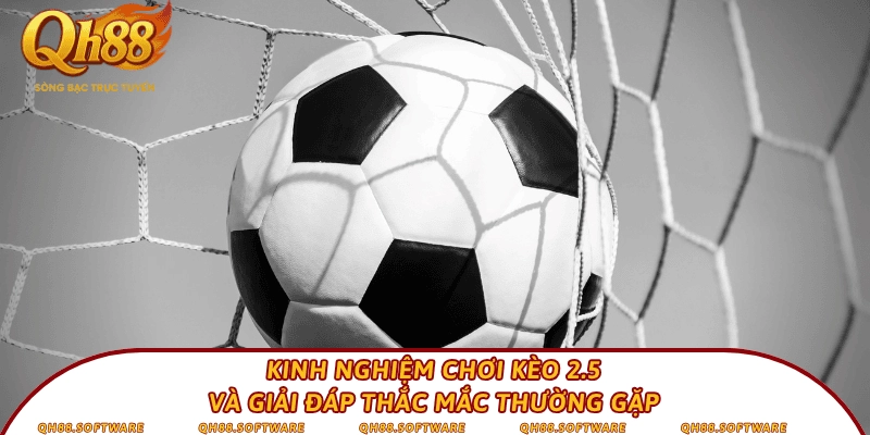 Kinh nghiệm chơi kèo 2.5 và giải đáp thắc mắc thường gặp