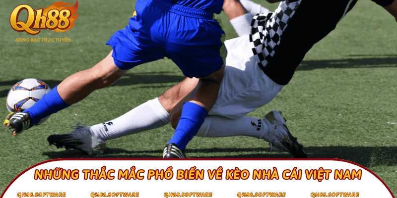 Những thắc mắc phổ biến về kèo nhà cái Việt Nam
