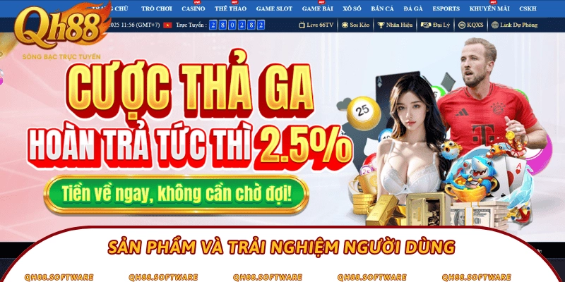 Sản phẩm và trải nghiệm người dùng